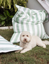 Load image into Gallery viewer, Cabo Club Floats